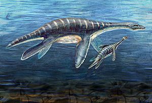 Mother and Juvenile Plesiosaur (3704449331)