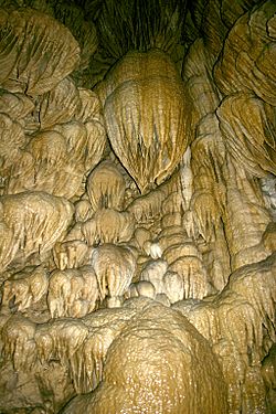 A cluster of bulbous stone formations of various sizes, large and small, line the surface of a dome-shaped pit. The formations, which are generally shades of brown and light yellow, overlap one another. Wider at their tops than their bottoms, they point down. Each is ribbed, like hanging drapery.