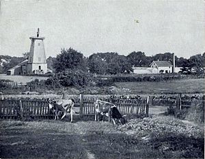 PastoralSceneAtWinfield1899