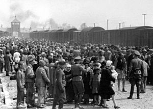 Selection on the ramp at Auschwitz-Birkenau, 1944 (Auschwitz Album) 1b