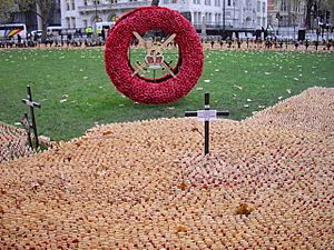 Field of Remembrance Westminster Abbey - geograph.org.uk - 1572813