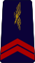 French Air Force-caporal.svg