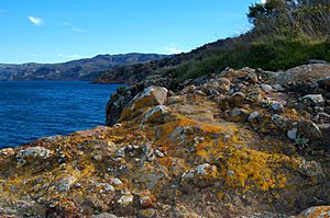 Lichen encrusted rocks adorn the cliffs of Santa Cruz Island