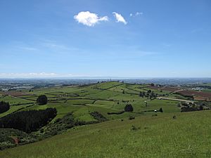 View looking north-west towards Auckland from top of Mount Puketutu