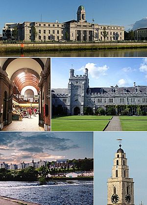 From top, left to right: City Hall, the English Market, Quadrangle in UCC, the River Lee, Shandon Steeple