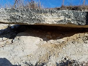 Fairport Chalk limestone marker bed F-2 20171230