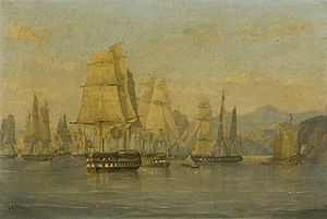 HMS Wellesley and Squadron in Hong Kong