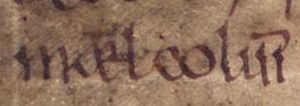 Máel Coluim mac Domnaill (Oxford Bodleian Library MS Rawlinson B 502, folio 25r)