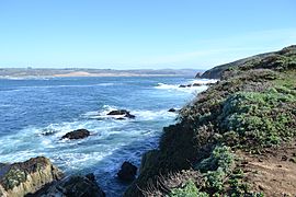 Tomales Bay as viewed from Tomales Point Trail 3