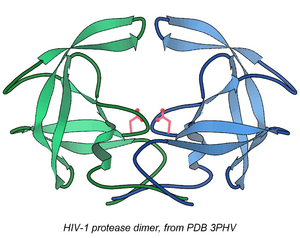 3phv HIV-prot rib