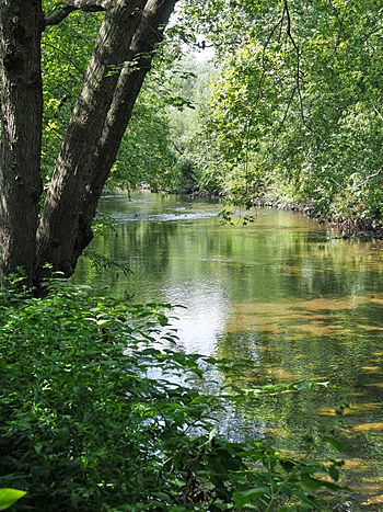 Bronx River from Shoelace Park.jpg