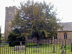 Caerleon-St Cadocs Church