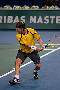 David Nalbandian at the 2008 BNP Paribas Masters2