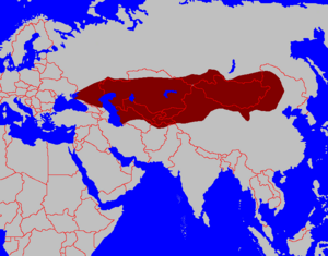 First Turk Khaganate(600)