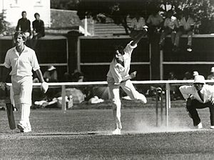 Ian Botham (batting) and Richard Hadlee (bowling)