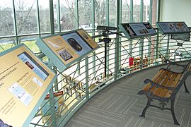 National Eagle Center-Exhibits