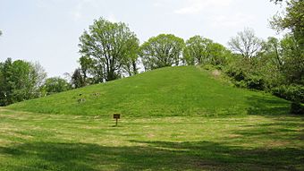Pyramid Mound from north.jpg