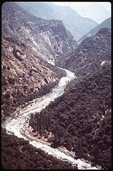 THE INACCESSIBLE KINGS RIVER GORGE ABOVE A PROPOSED LAKE AND DAM - NARA - 542700
