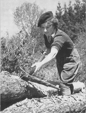 A uniformed member of the Women's Timber Corps stripping bark from a felled tree