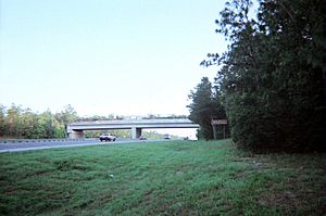 CFG Bridge over I-75