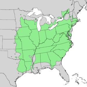 Carya cordiformis range map 1.png