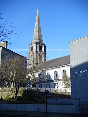 Christ Church Cathedral Waterford from The Mall.jpg