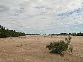 Gilbert River dry sandy bed.jpg