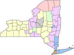 Largest ancestry of each New York county (en).svg