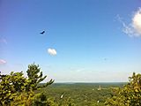 Narragansett Trail's Lantern Hill view of hawks flying. Mashantucket Pequot Museum can be seen in the far background.