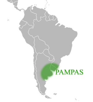 Approximate location and borders of the Pampas encompassing the southeastern area of South America bordering the Atlantic Ocean
