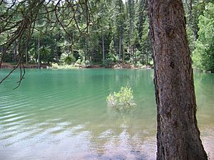 Jenkinson Lake near Pollock Pines