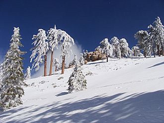 Snow Valley CA 2010 1.jpg