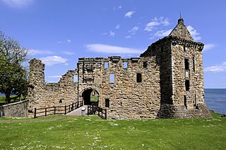 St Andrews Castle 1 (3604221101)