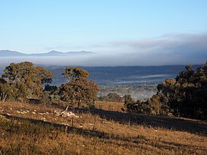 View towards the Brindabellas in Wanniassa Hills Nature Reserve May 2016