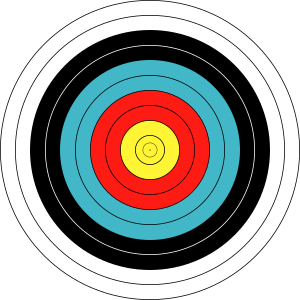 WA 80 cm archery target