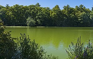 Wallkill river green with 2016 algae bloom, Wallkill, NY