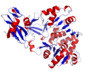 Firefly Luciferase Crystal Structure.rsh