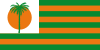 Flag of Fuente de Oro