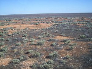 Nullabor plain from the indian pacific