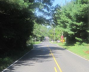 Looking west along New Freedom Road