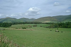 Scotland Southern Uplands01 2002-08-16