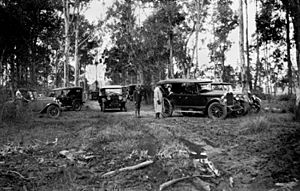 StateLibQld 2 202395 Gathering of early model motor vehicles in the bush at Oxley, 1930
