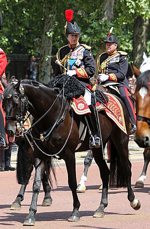 Trooping the Colour 2018 (11)