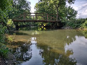 Wilson's Creek (Missouri) at WCNB 1