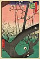 Ando Hiroshige - Plum Garden, Kameido - Google Art Project