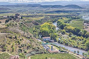 At the castle of San Vincente de la Sonsierra (38136290576)