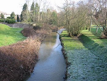River Ingrebourne (2010) 001.jpg