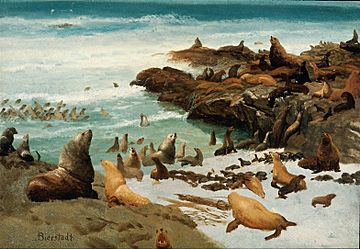 Seal Rocks, Farallons 1872 Albert Bierstadt