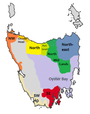 Tasmanian languages