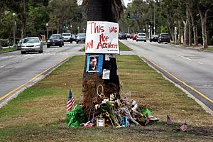 Tree at crash site of journalist Michael Hastings